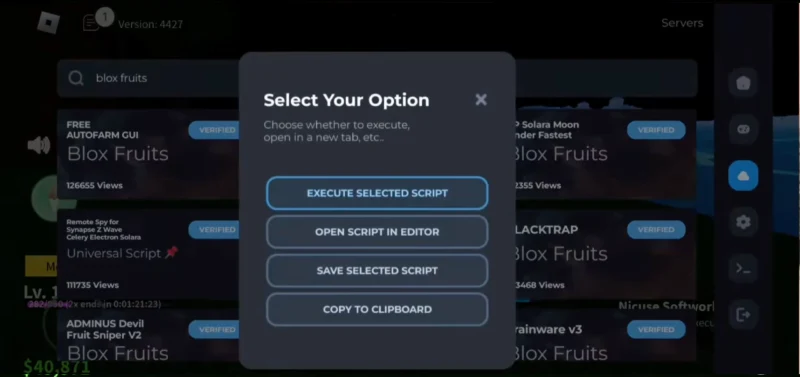 Delta Executor script options dialog